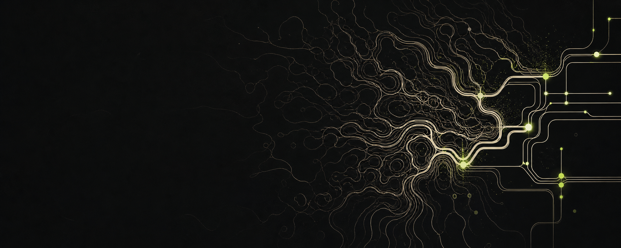 Branching systems map